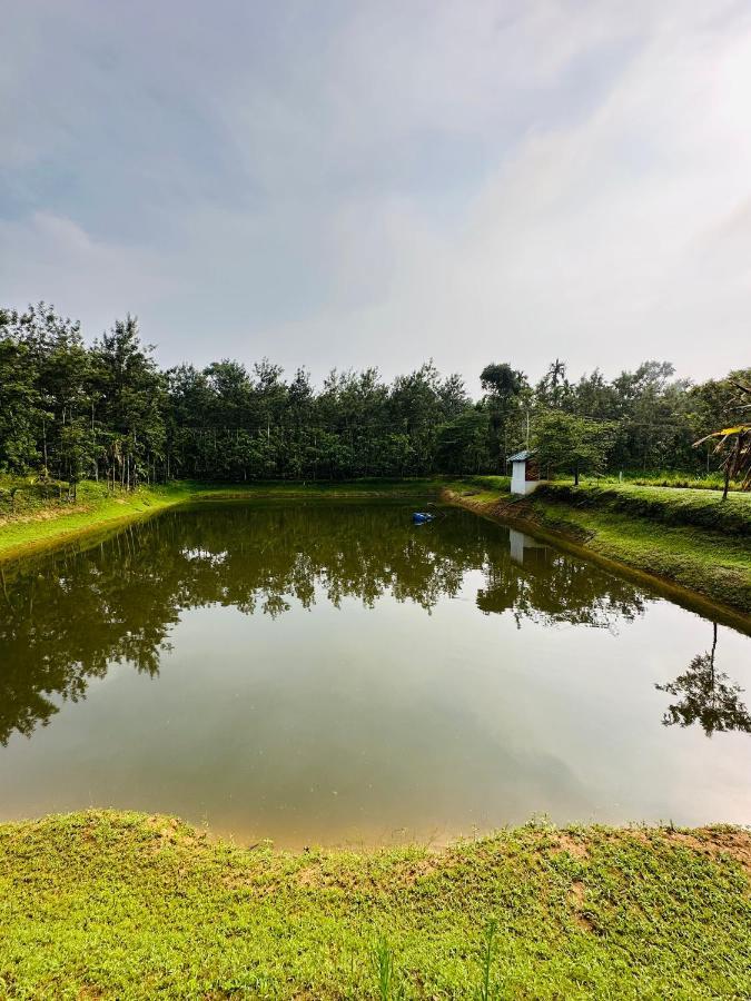 Green Castle Gonikoppal Экстерьер фото